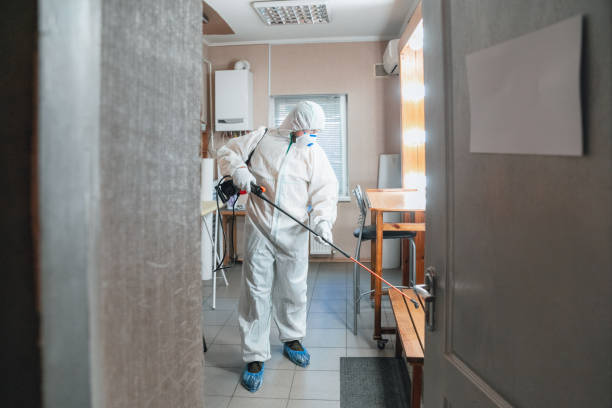 Best Biohazard Mold Removal  in Reed City, MI