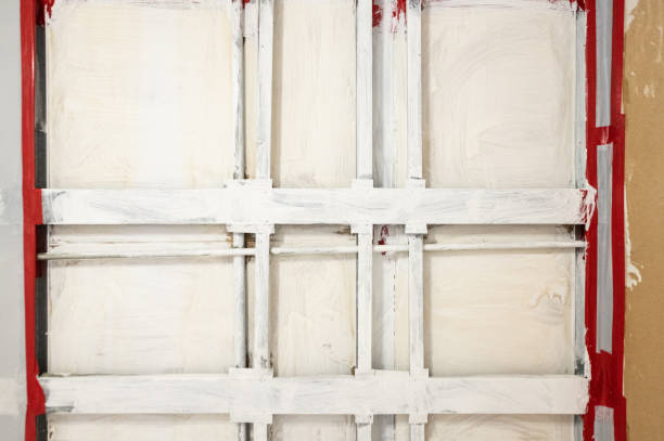 Best Water Damage & Mold Remediation  in Reed City, MI