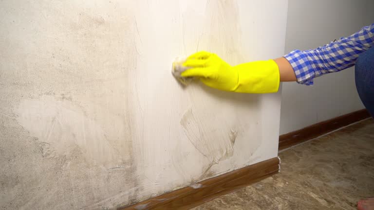 Dehumidification Services in Reed City, MI