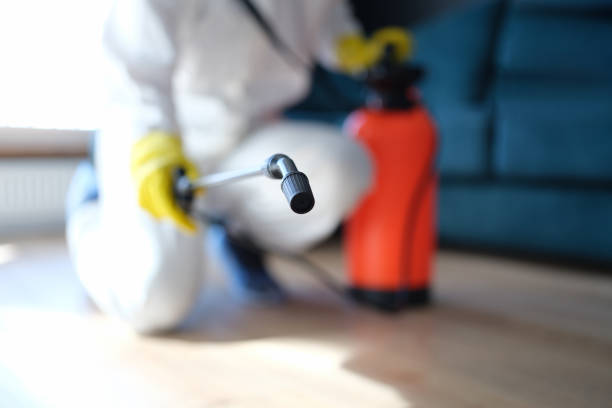 Best Mold Documentation for Insurance Claims  in Reed City, MI