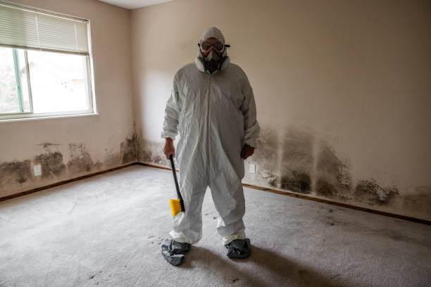 Reed City, MI Mold Removal Company
